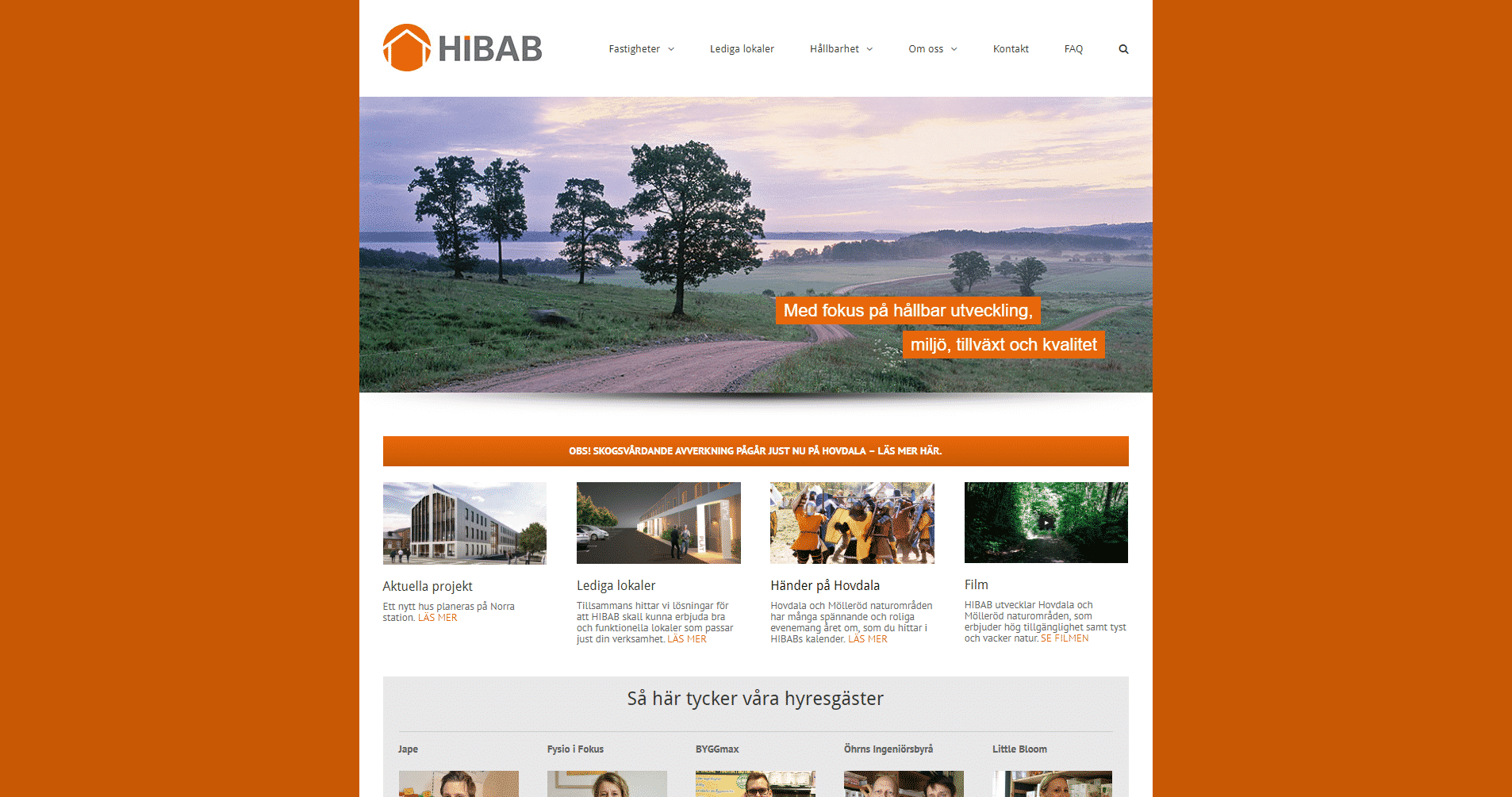 HIBAB websida