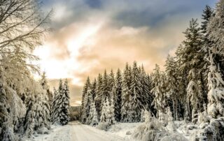 Vinterlandskap med snötäckta träd och solnedgång.