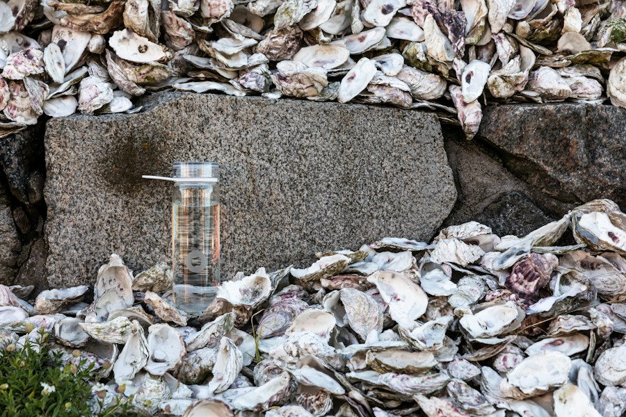 Vattenflaska bland ostronskal på sten.
