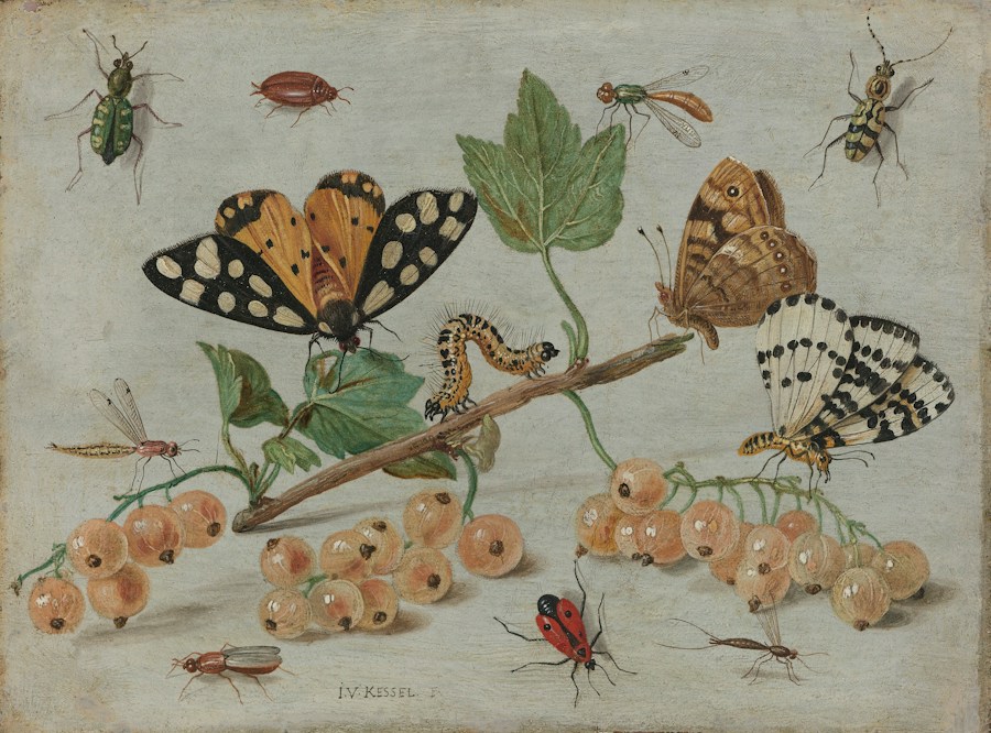 Målning av fjärilar och insekter på gren.