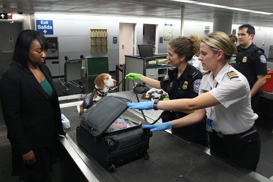 Tullkontroll med hund inspekterar bagage.